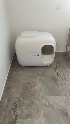 Customer photo review of Self-Cleaning Litter Box