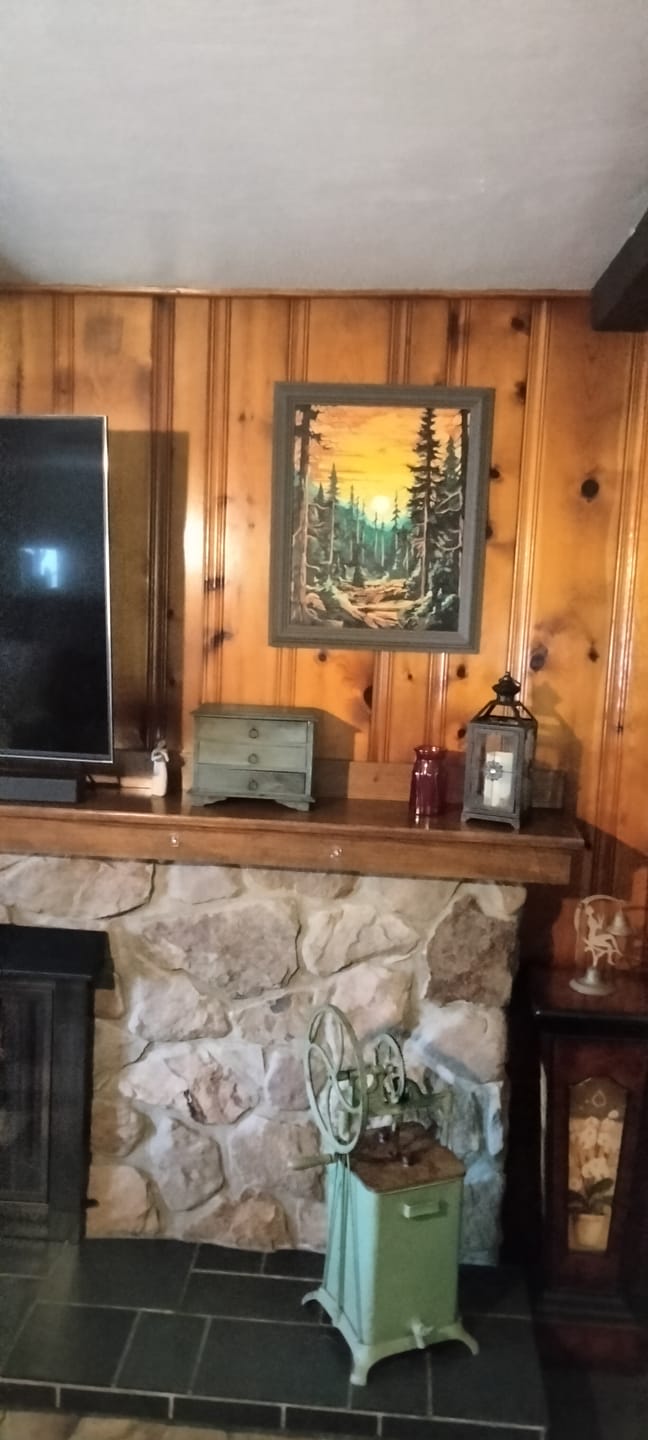 Customer photo review of Tall Trees Forest