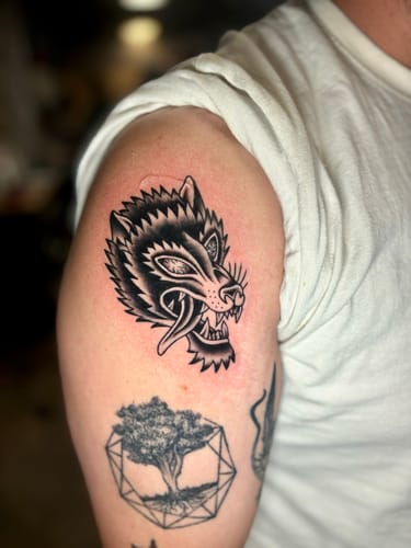 Customer photo review of Unknown Ink Photography Set