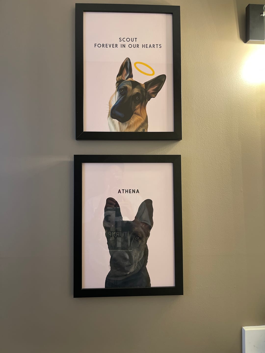 Customer photo review of Custom Memorial Pet Portrait w/ Halo