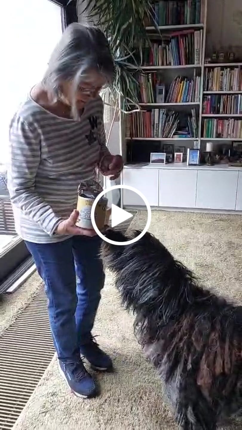 Customer video review of Daily Bites Softsnack - Knochen & Gelenke