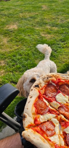 Customer photo review of Sourdough Pizza Bases