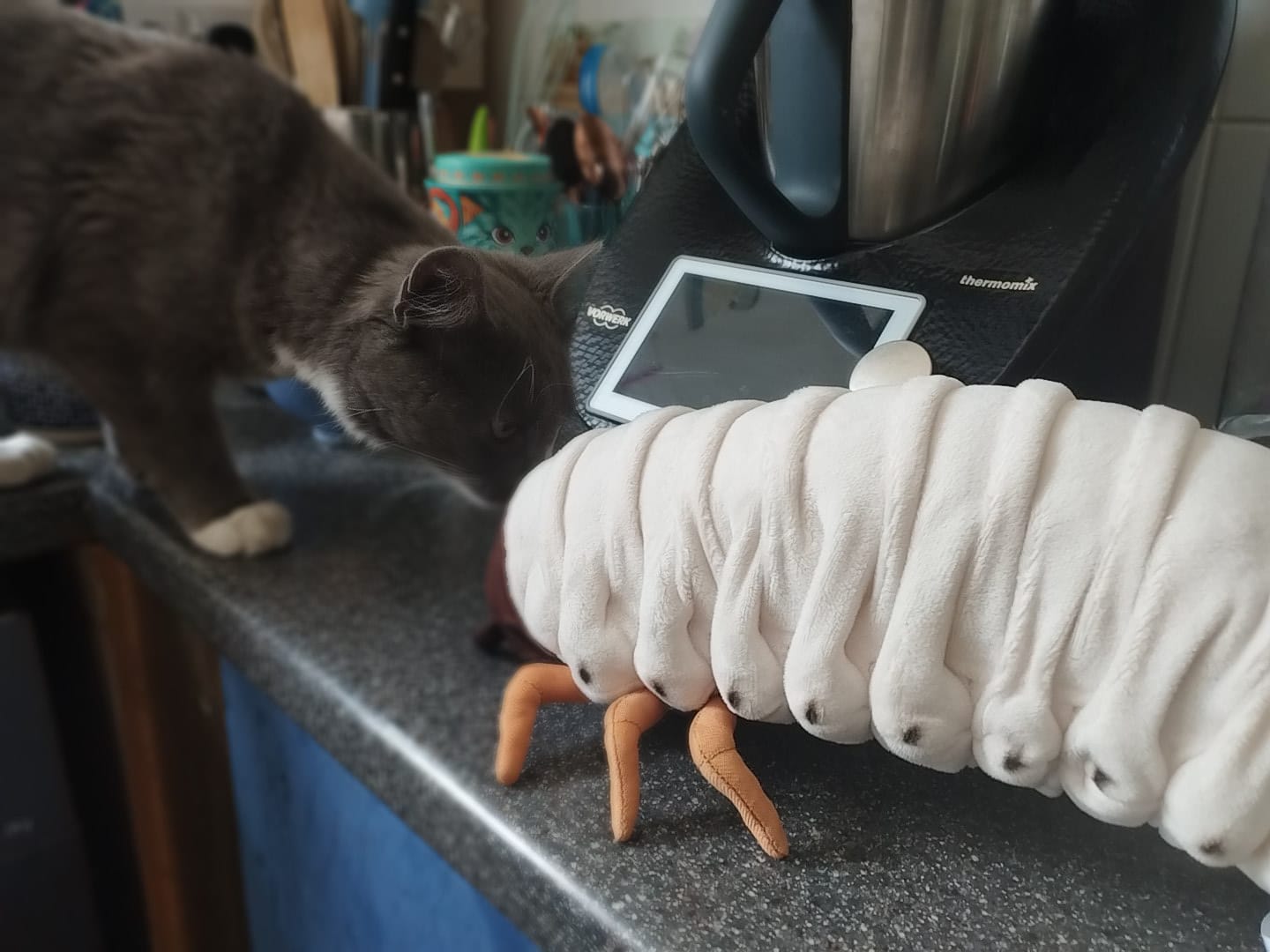 Customer photo review of White Grub Soft Stuffed Plush Toy