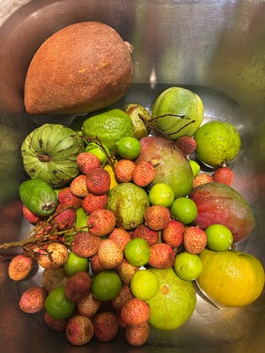 Customer photo review of Tropical Variety Box