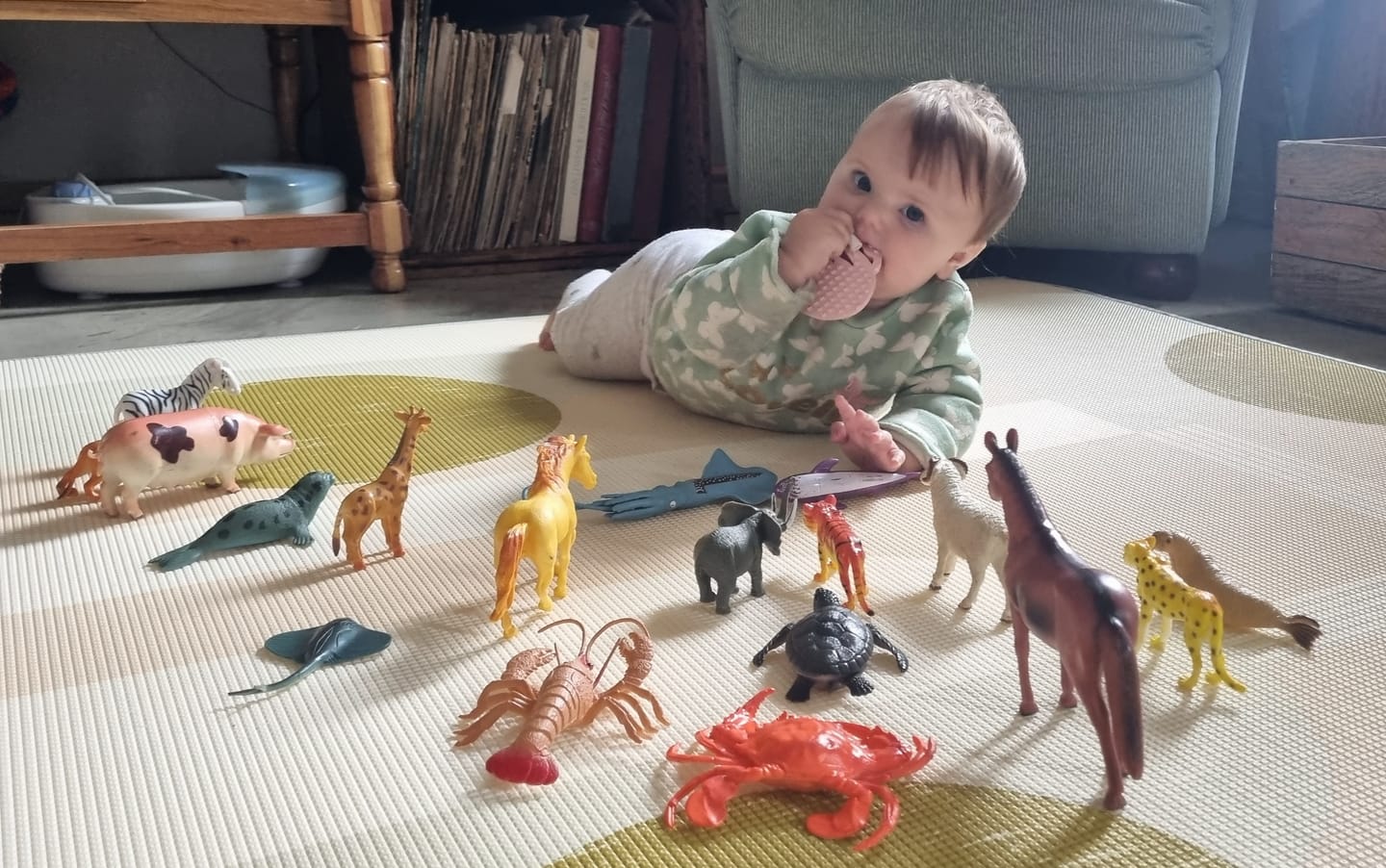 Customer photo review of Sunset Geo/ ABC Africa Play Mat