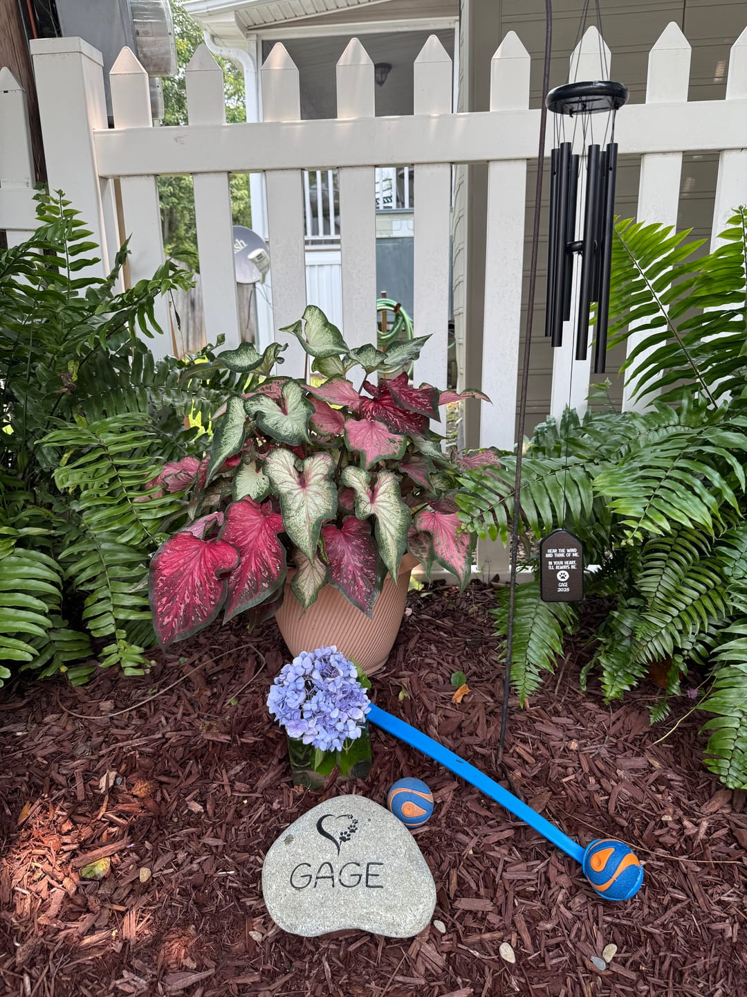 Customer photo review of Dog headstones Grave Marker Custom Engraved Pet Memorial River Rock Stone Heart Paw Print