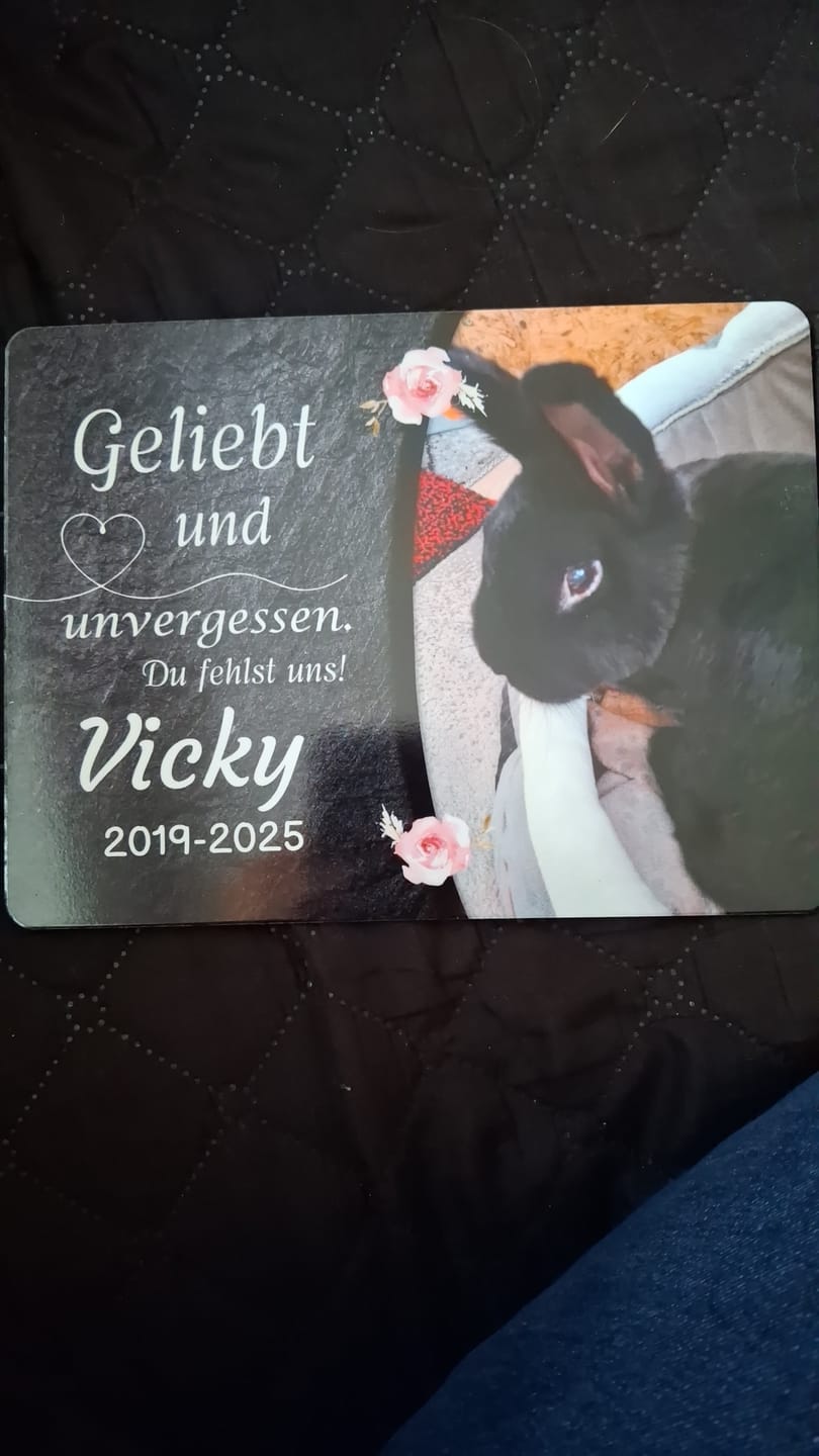 Customer photo review of Kaninchen Gedenktafel mit Foto & Spruch (UV- & Wetterfest)