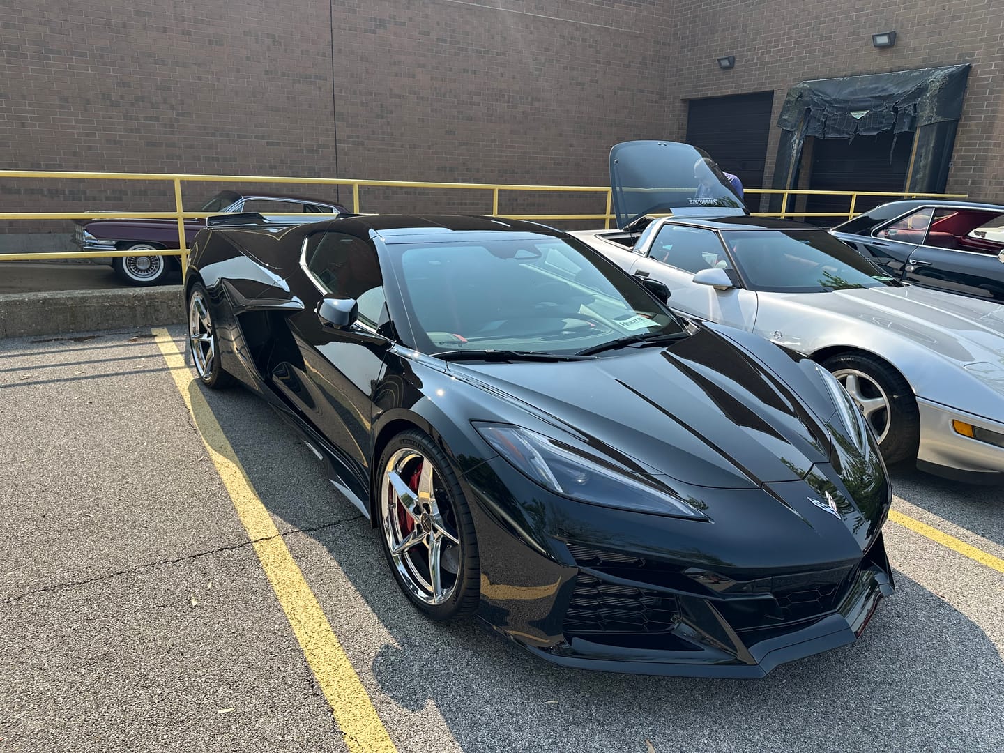 Customer photo review of Chevrolet Corvette C8 Z06 Side Door Garnish