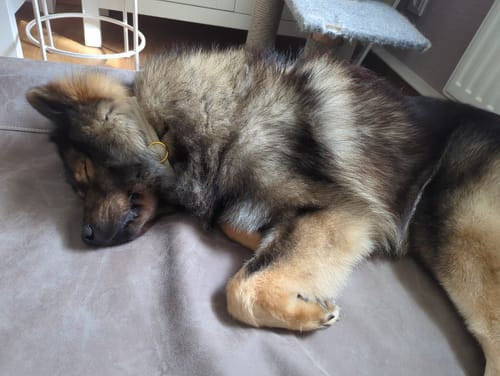 Customer photo review of Nature Protect