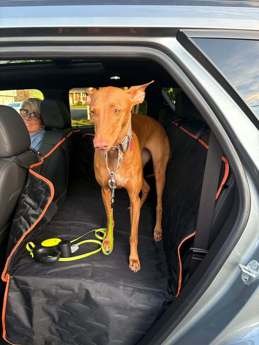 Customer photo review of FurGuard™: Hard Bottom Extender