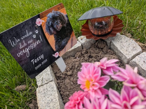 Customer photo review of Hunde Gedenktafel mit Foto & Spruch (UV- &  Wetterfest)