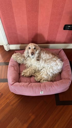 Customer photo review of Divanetto Cotone Vichy Rosso