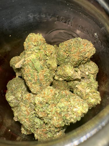 Customer photo review of Gary Payton THCA Flower