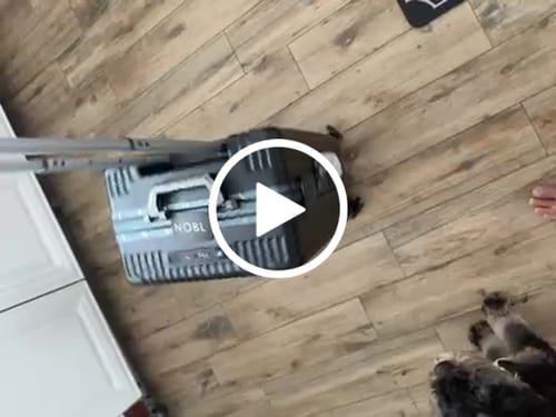 Customer video review of Carry-On: All-in-One