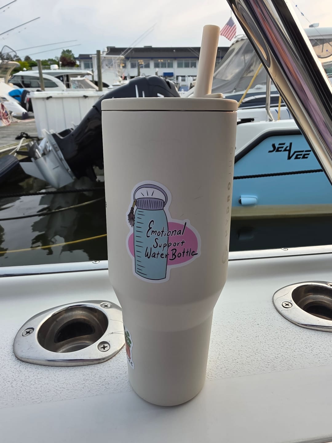 Customer photo review of "Emotional support water bottle" sticker