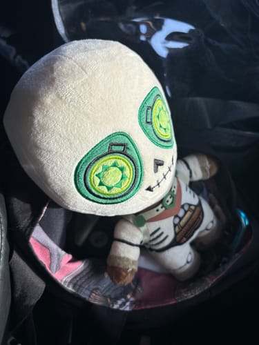 Customer photo review of Dragon Age: The Veilguard - Manfred Collector's Plush