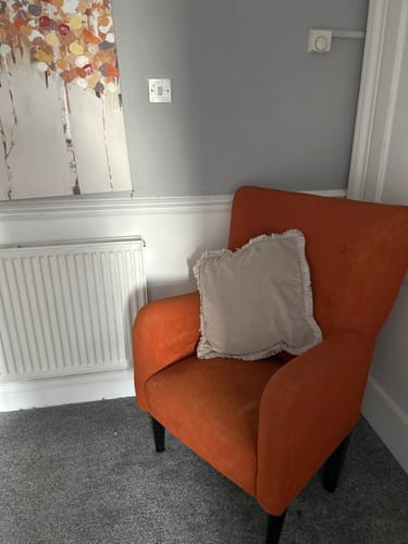 Customer photo review of Fabric Paint -- Orange