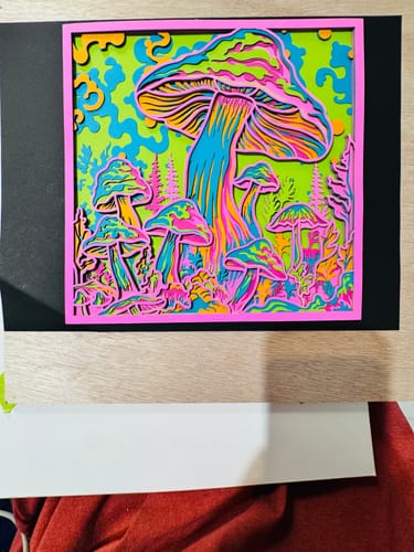 Customer photo review of Monport Reno65 Pro 65W Desktop CO2 Laser Engraver & Cutter (24" X 16") with DSP Controller and Semi-Autofocus