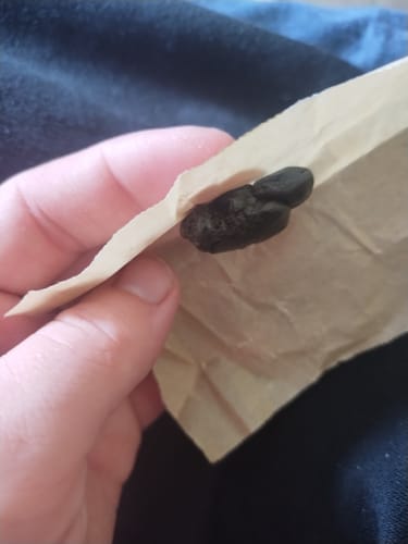 Customer photo review of Banana Kush THCA Moroccan Hash