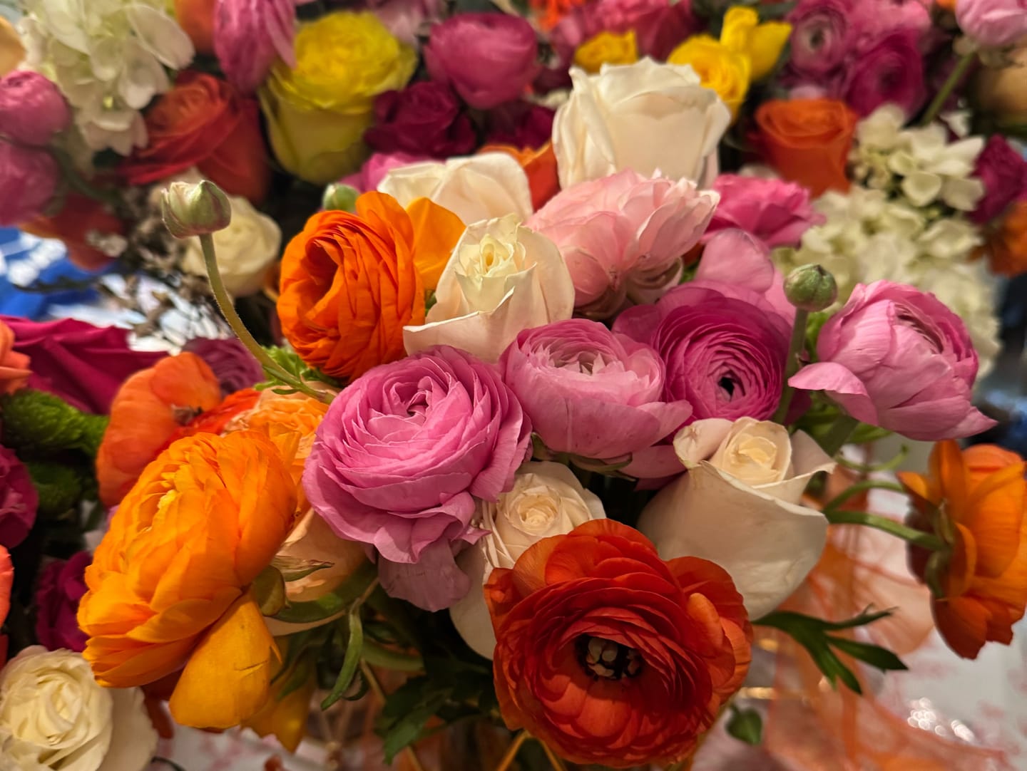 Customer photo review of Orange Ranunculus