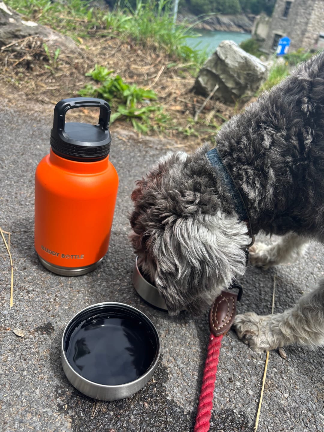 Customer photo review of BUDDY BOTTLE™   3-in-1  Dog Water Bottle