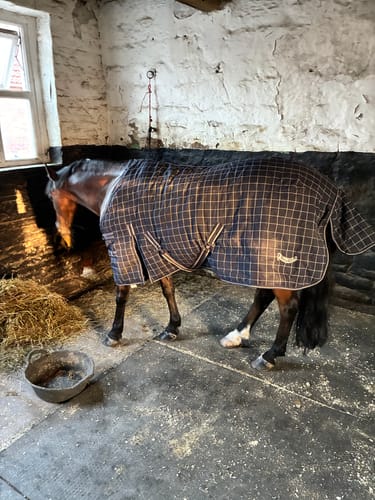 Customer photo review of Rhinegold Chicago Quilt