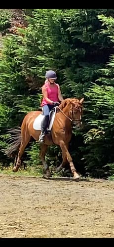 Customer photo review of Equine America Buteless Super Strength Powder