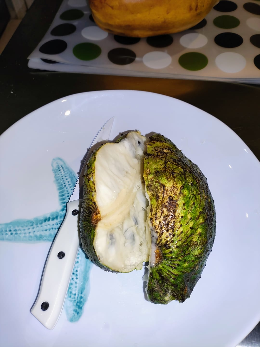 Customer photo review of Premium Soursop (Guanabana)