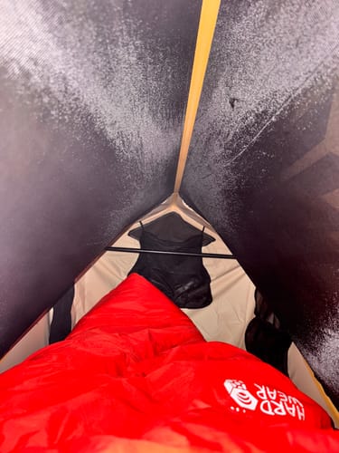 Customer photo review of Haven Safari Pad