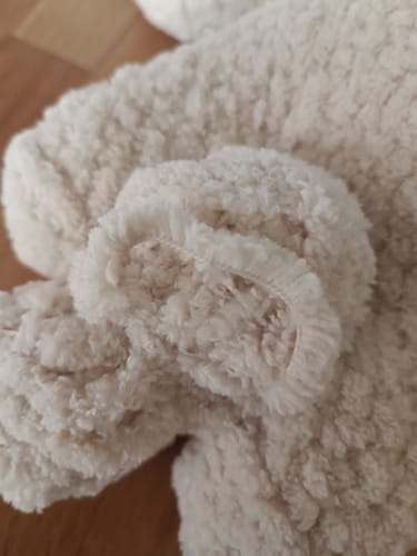 Customer photo review of Alize Softy Mega