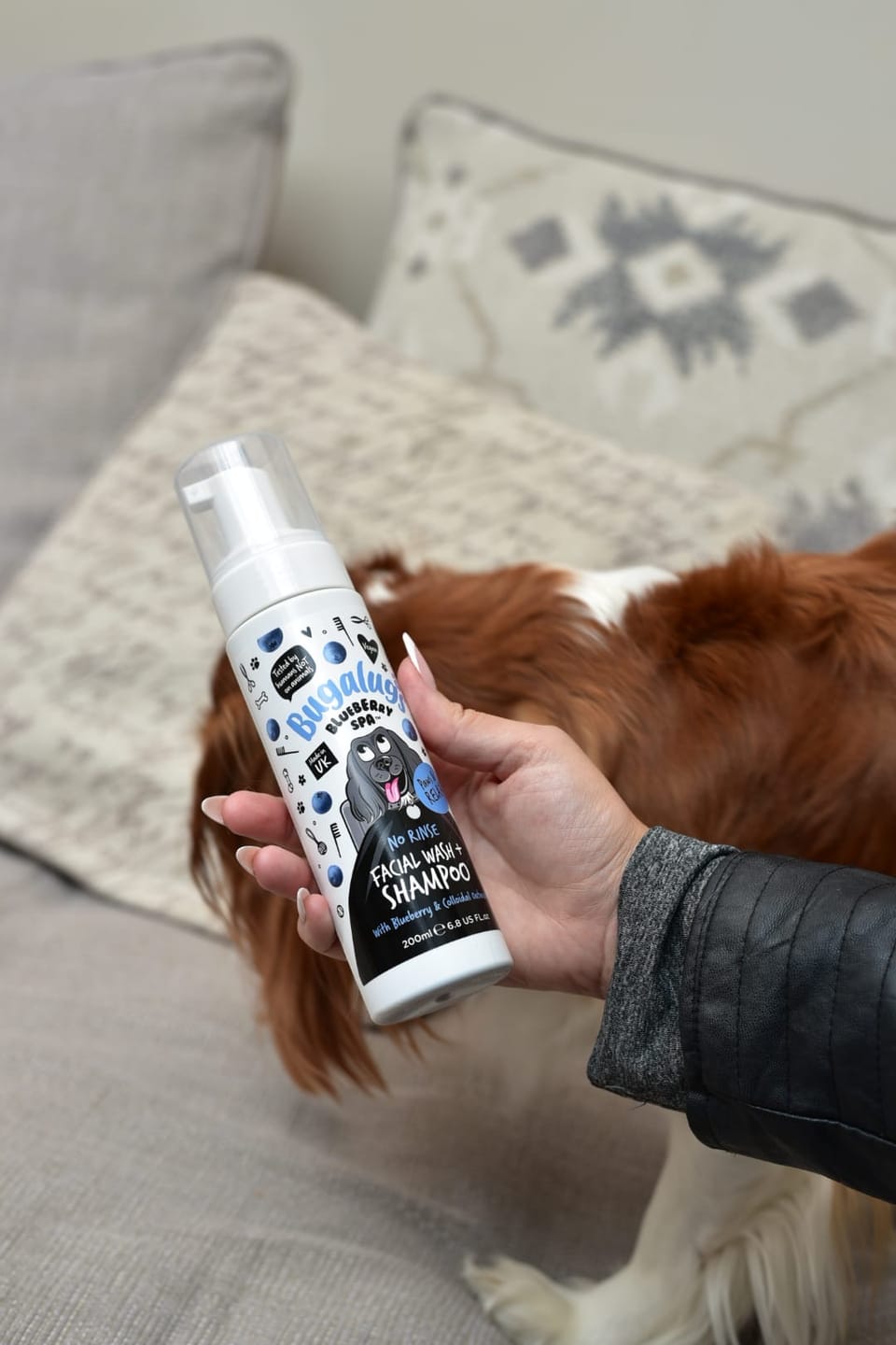 Customer photo review of Blueberry Spa™ No Rinse Facial Wash + Shampoo with Blueberry & Colloidal Oatmeal for Dogs