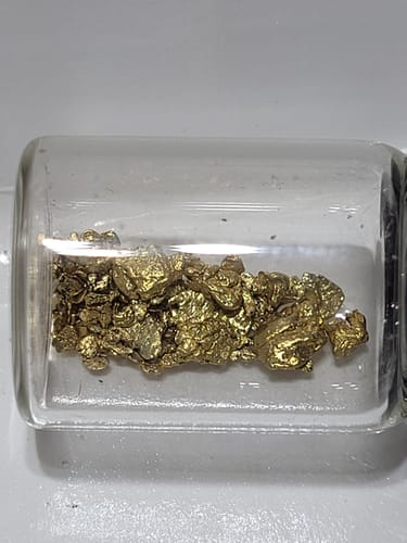 Customer photo review of Mammoth '$10,000 NUGGET HUNT' - Gold Panning Paydirt Concentrate