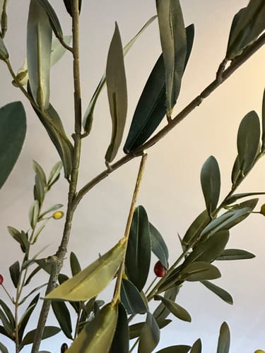 Customer photo review of Kunst Olijfboom 180cm