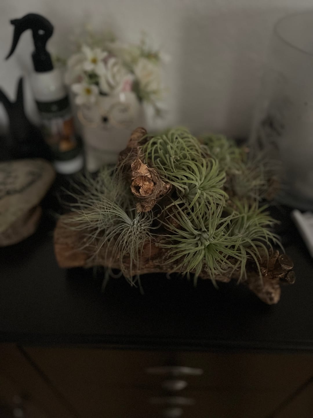 Customer photo review of Deko Wurzel