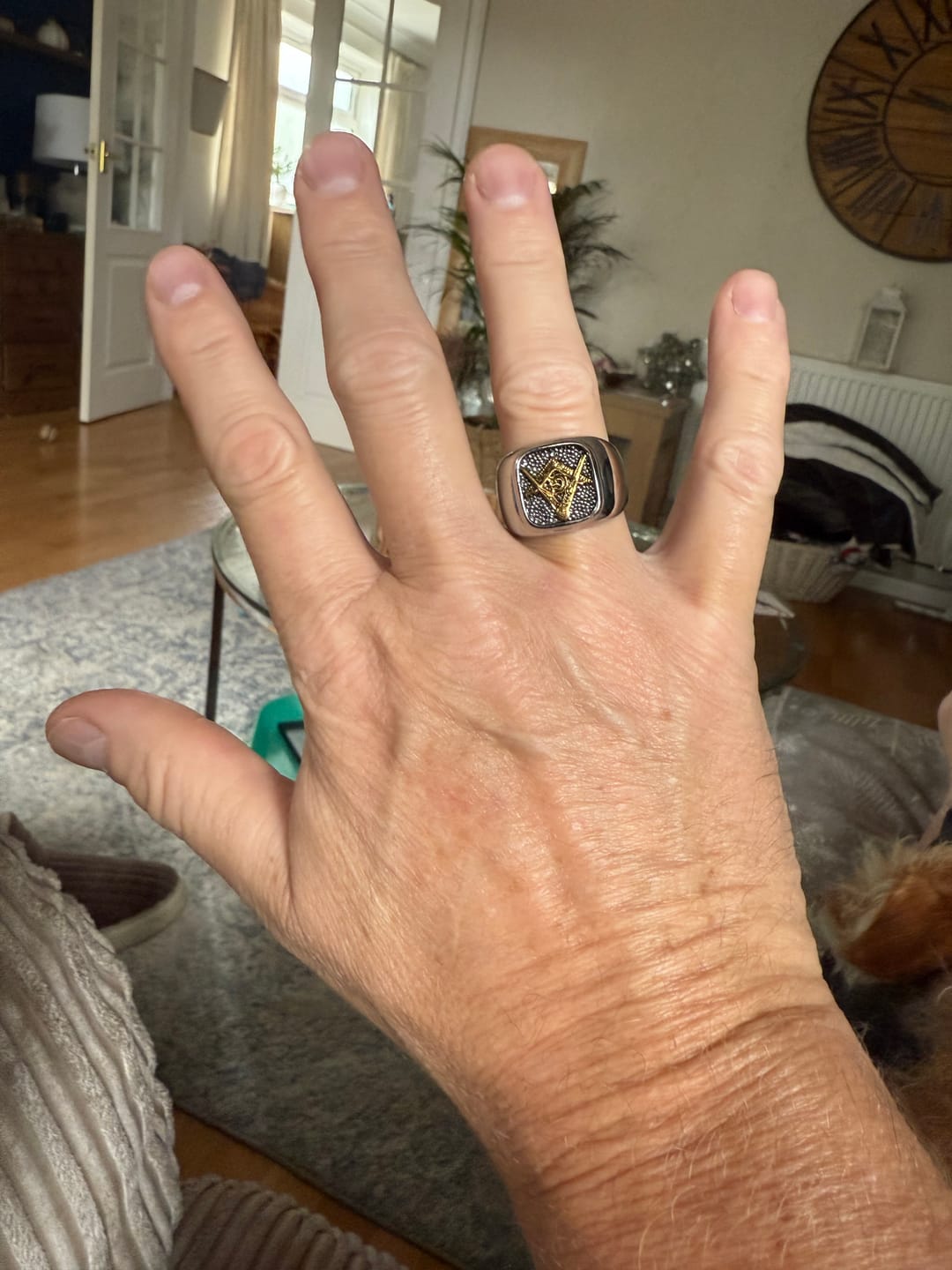 Customer photo review of Free Mason.