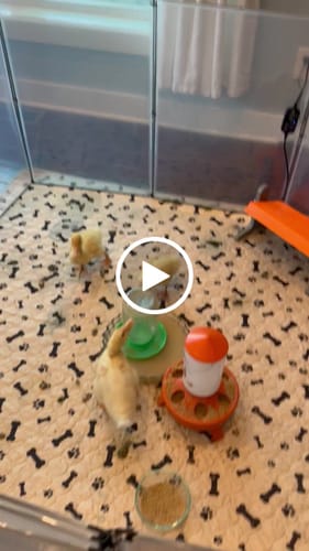 Customer video review of Potty Buddy™ - The Durable Leak-Free Potty Pad