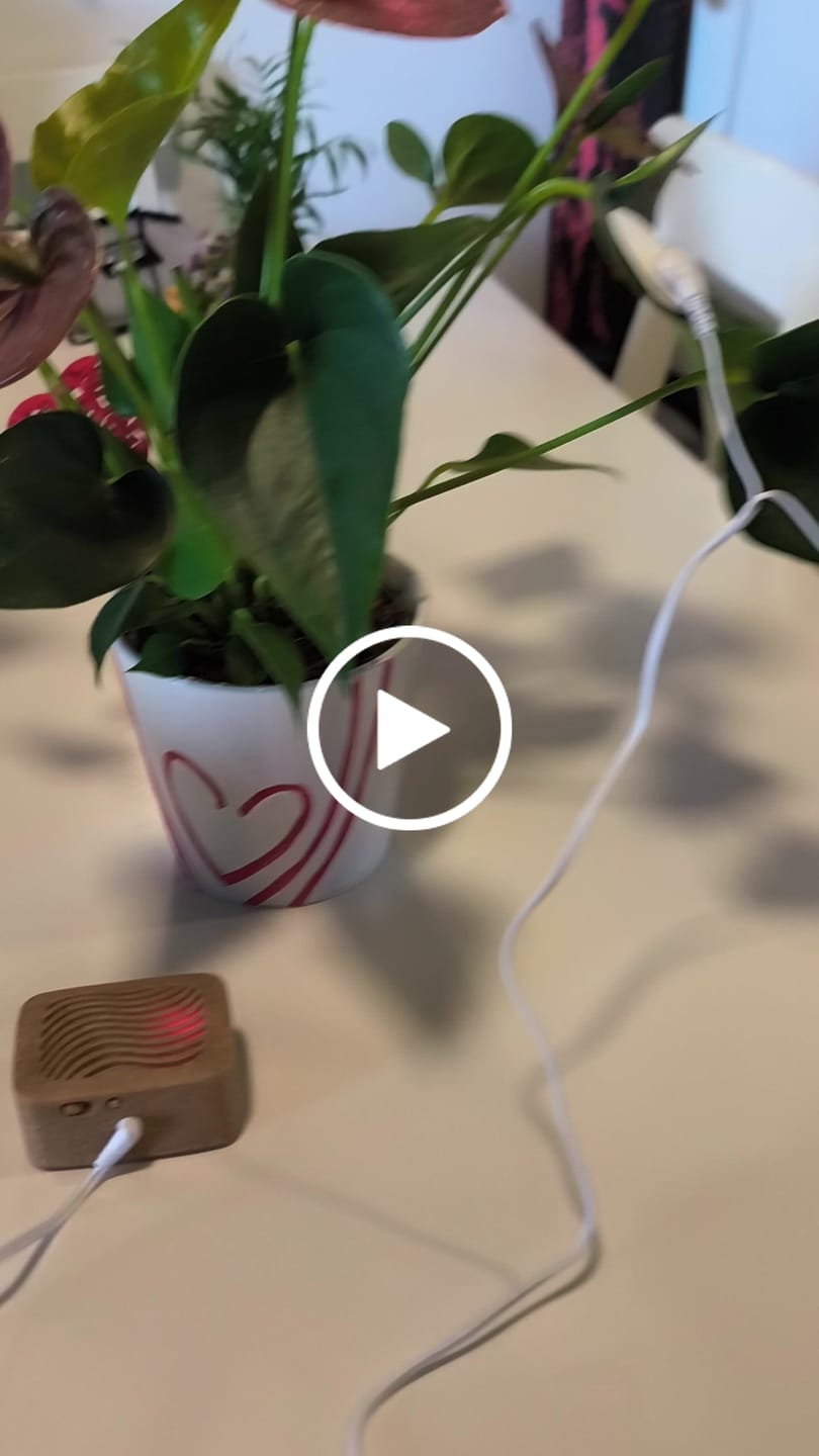 Customer video review of PlantWave