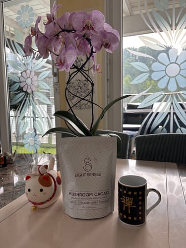 Customer photo review of Mushroom Cacao