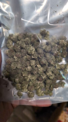 Customer photo review of Candy Gas THCA Flower