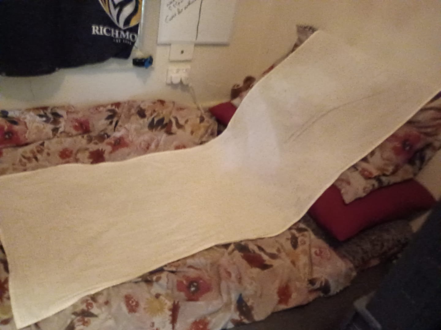 Customer photo review of PureGrounding® Grounding Sheet