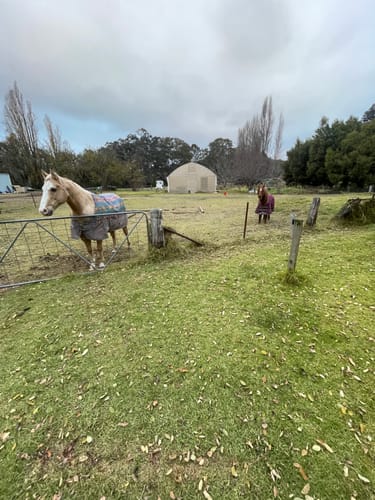 Customer photo review of Nikwax Rug Proof