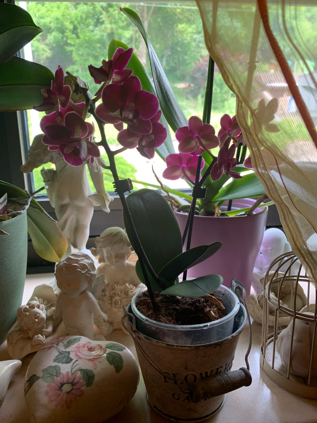 Customer photo review of Table Dance Chamonix mit weinroten Blüten und 2 Rispen