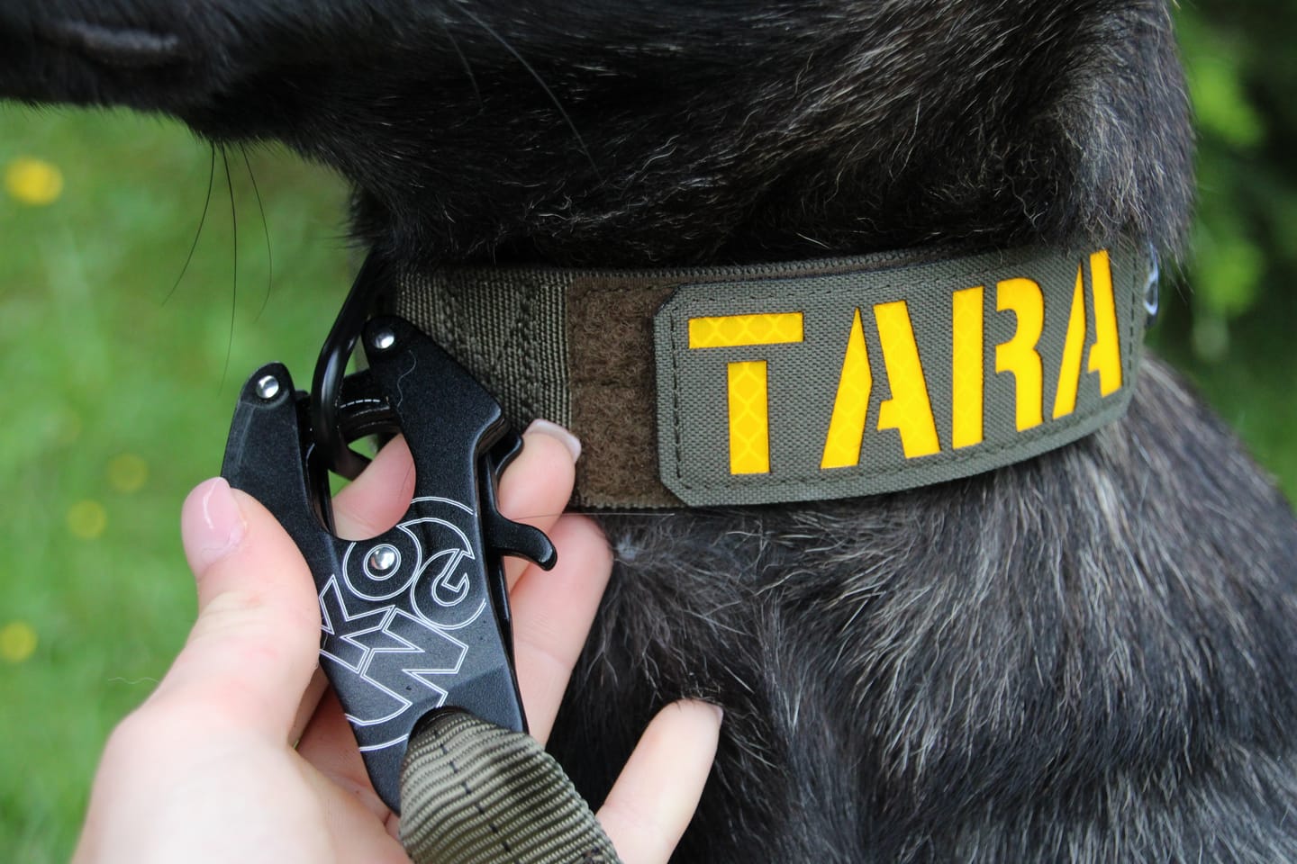 Kundenfoto von Mia Cara H.: Sonderanfertigung Führleine