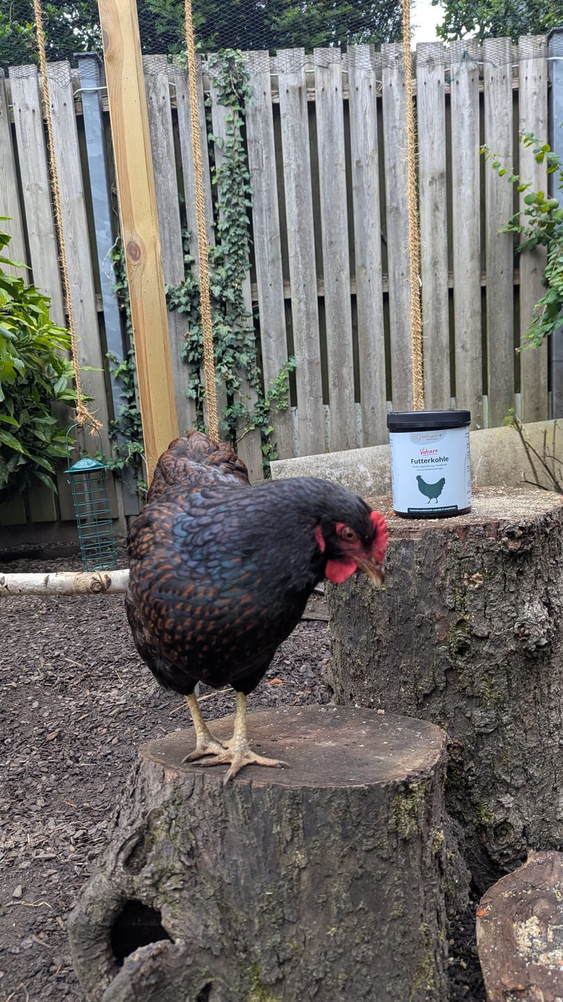 Customer photo review of Vetcare Futterkohle - bei Durchfallerkrankungen, als Toxinbinder & zur Verdauungsförderung