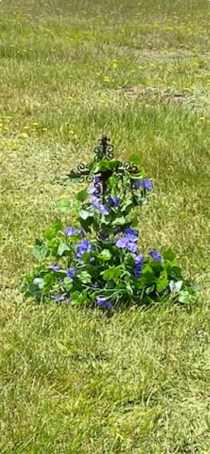 Customer photo review of Bulk 39" UV Resistant Artificial Morning Glories Artificial Flower for Outdoors Wholesale