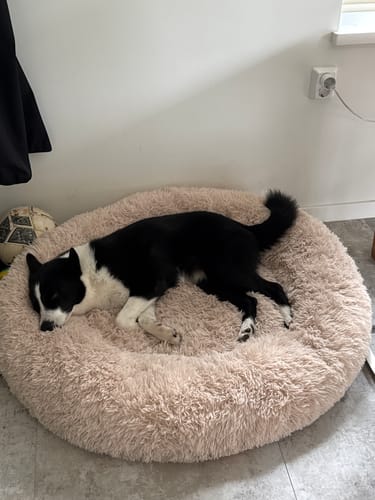 Customer photo review of CalmBed - Motverkar stress & hjälper mot ångest