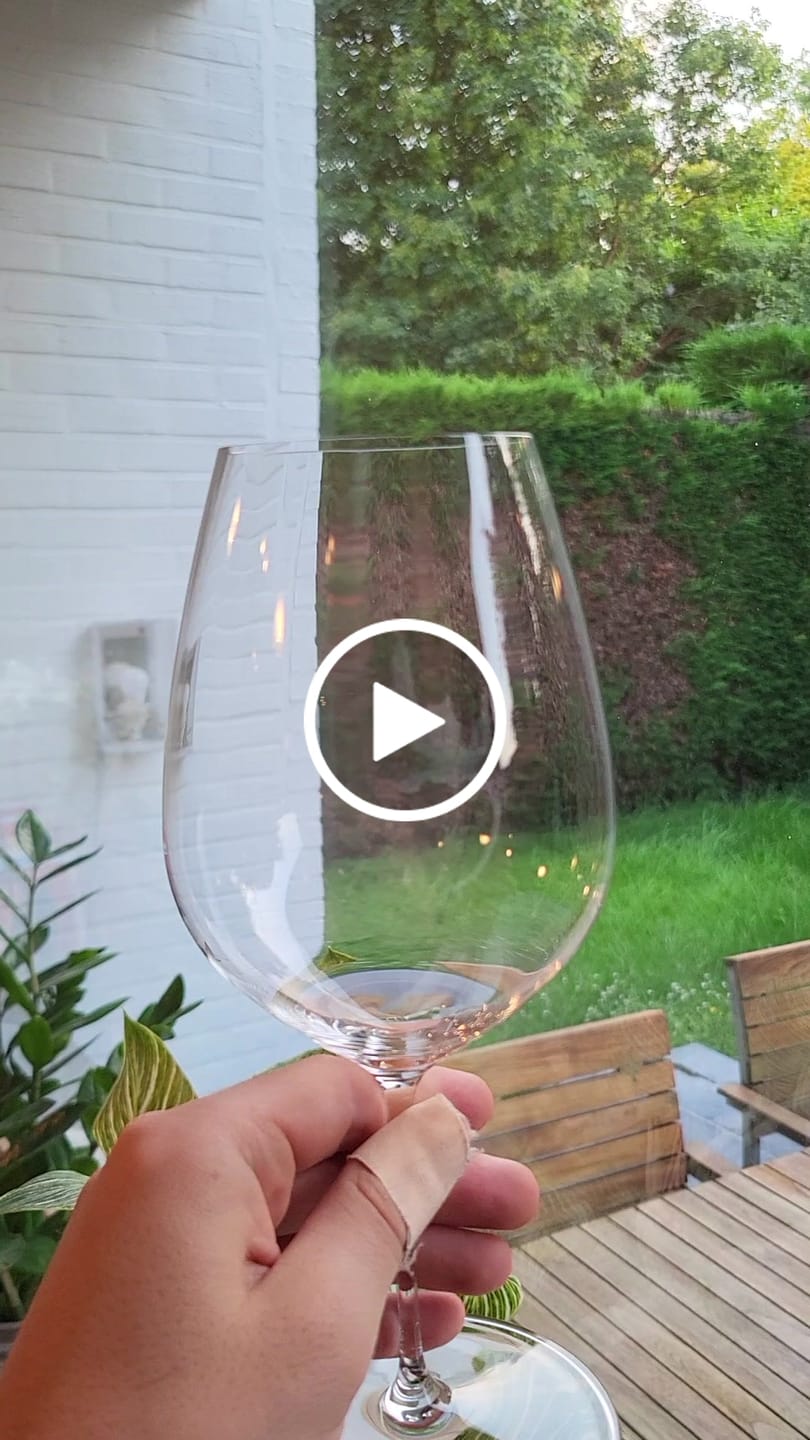Customer video review of Riedel Wijnglazenset - Rode Wijnglazen - Performance - Cabernet / Merlot - 834 ml - 4 Stuks