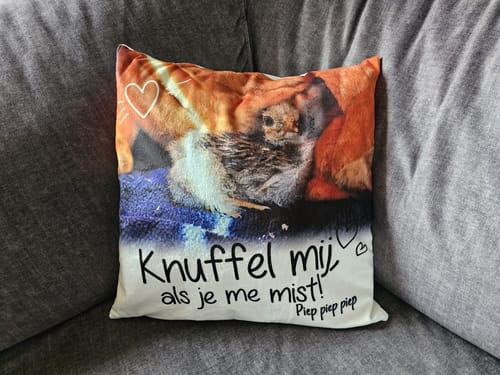 Customer photo review of Knuffel mij als je me mist - Gepersonaliseerde kussen
