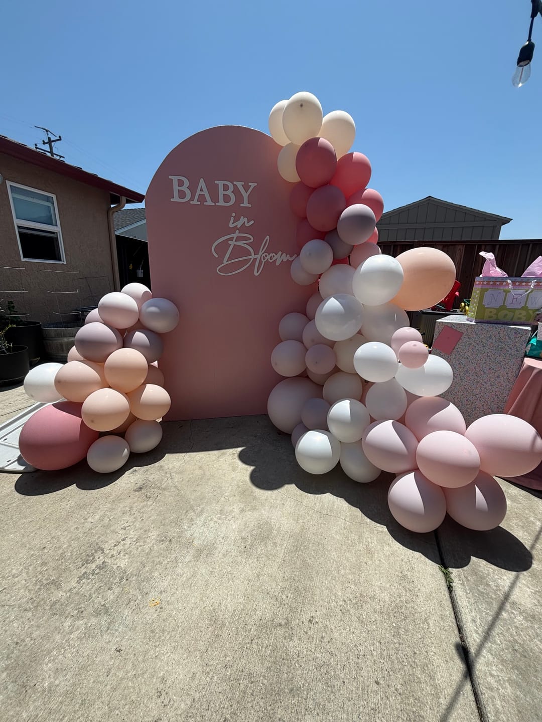 Customer photo review of DIY Balloon Kit - Create Your Own Color Mix