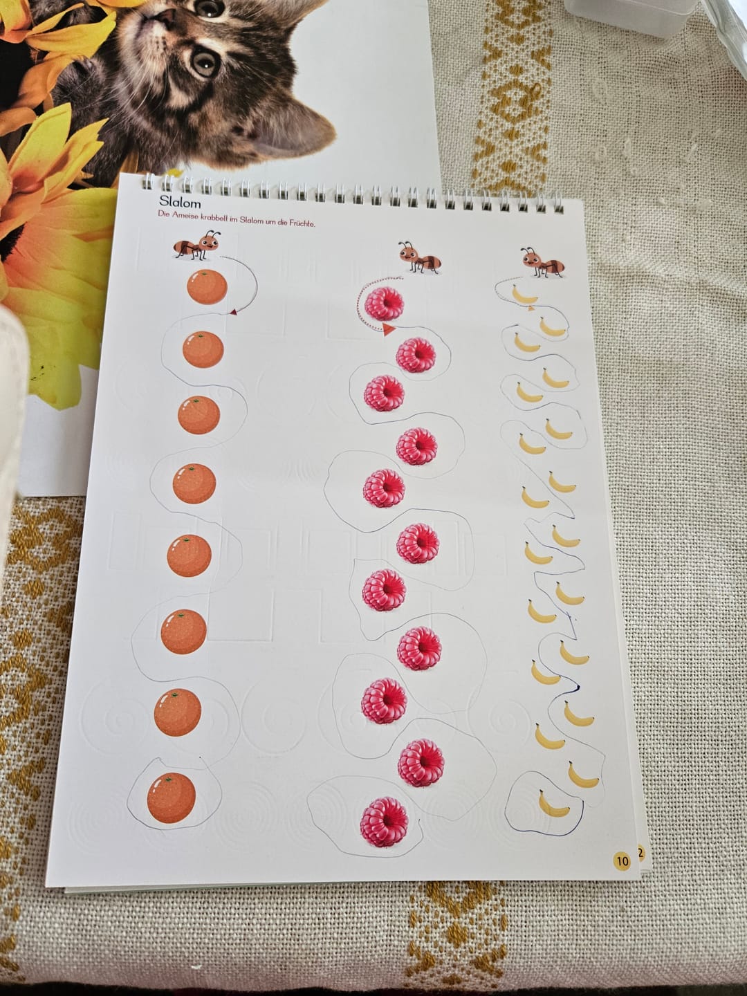Customer photo review of Filapen Magische Übungshefte – wiederverwendbar